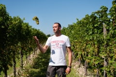 117__CRI0234-Modifica_Bucovaz_Vendemmia_2020_HD_Stampa