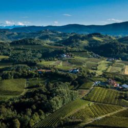 Borgo Conventi. Tra passato e futuro a Farra d’Isonzo