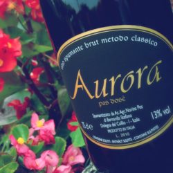 Da Norina Pez, Aurora, bollicine con dedica