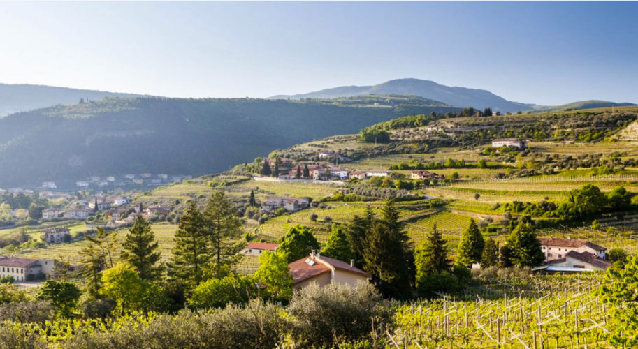 Ca Dei Conti: eccellente Amarone a Villa de Winckels