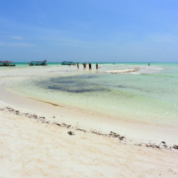 Una vita in vacanza al villaggio di Watamu in Kenya: spiagge da sogno e safari