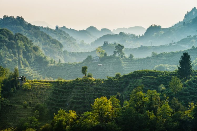 Le colline del Prosecco sono Patrimonio dell'Umanità Unesco