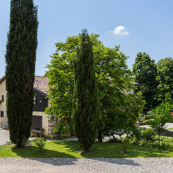 Agriturismo, il settore rimane positivo ma occhio agli esercizi abusivi