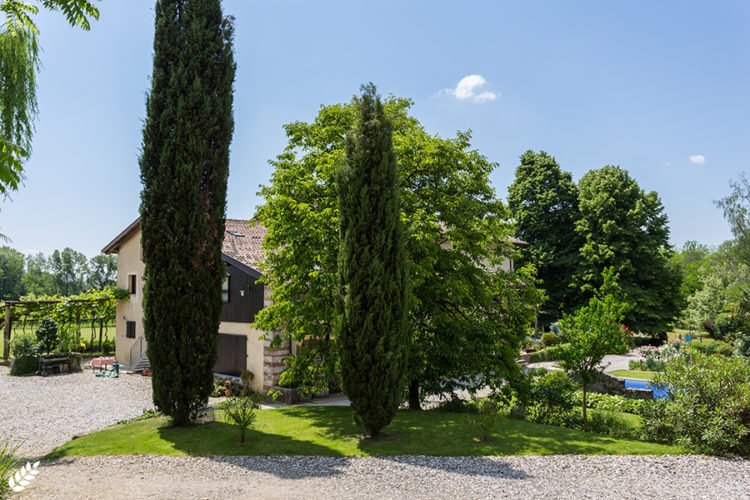 Agriturismo, il settore rimane positivo ma occhio agli esercizi abusivi