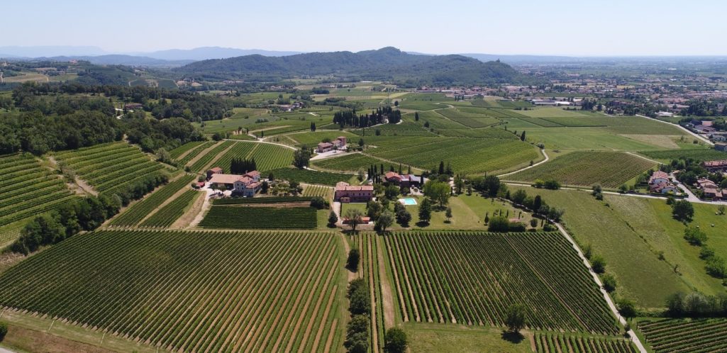 Cantina Perusini, assaggi eccellenti