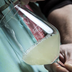 Bianco Collio Doc, di Terre del Faet