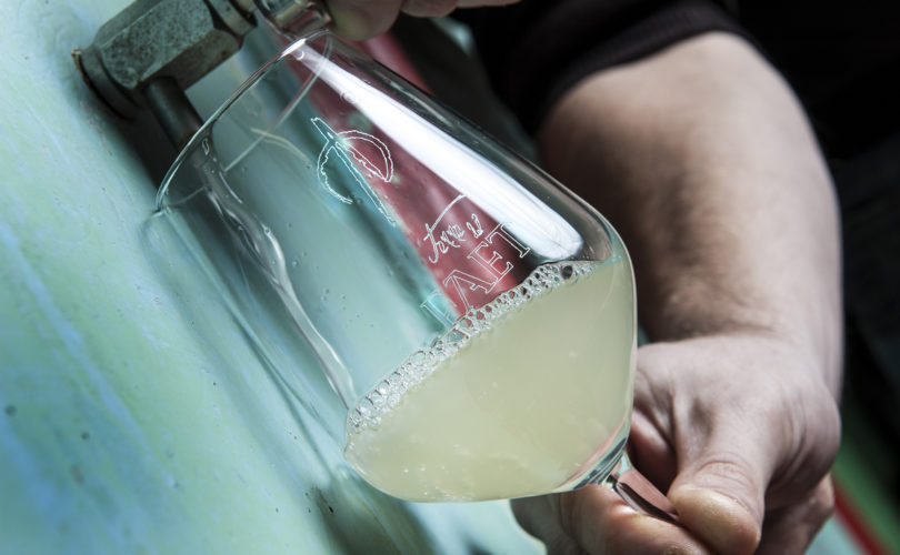 Bianco Collio Doc, di Terre del Faet