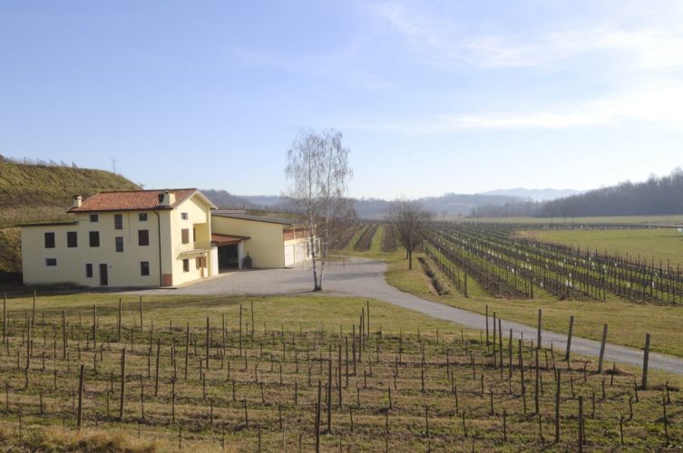 Collio Chardonnay particella 3, ottimo cru di Ronco Blanchis