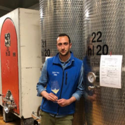 Bucovaz, da un giovane vignaiolo un Merlot “Rosato” che conquista