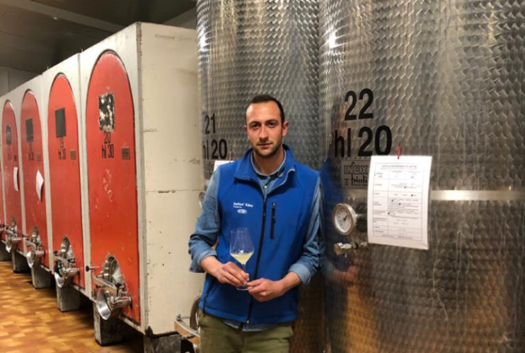 Bucovaz, da un giovane vignaiolo un Merlot “Rosato” che conquista