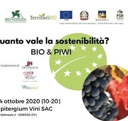 Quanto vale la sostenibilitá? Bio &Piwi, convegno il 24 ottobre