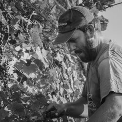 Marco Pinat, la vera accoglienza del piccolo produttore