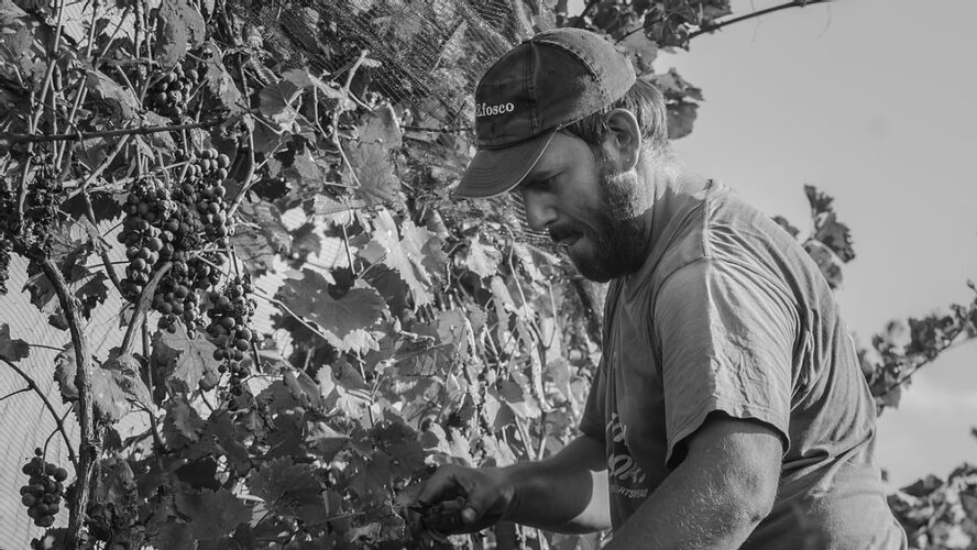 Marco Pinat, la vera accoglienza del piccolo produttore