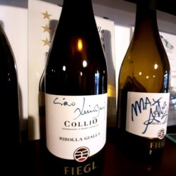 Matej Fiegl e la sua Ribolla Gialla