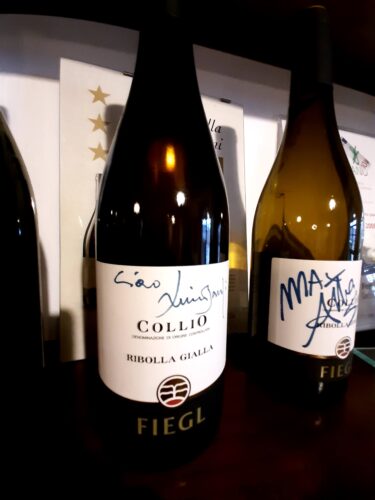 Matej Fiegl e la sua Ribolla Gialla