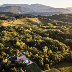 Michele Ciani di Aquila del Torre, il nuovo e-shop con degustazione di grandi vini e prodotti bio del Friuli.