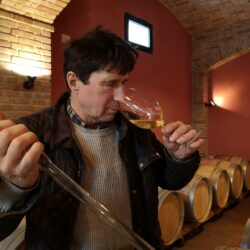 Mavrič, vini che esprimono il valore del lavoro e la fecondità del Collio
