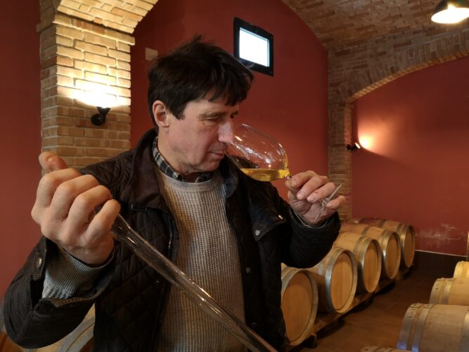 Mavrič, vini che esprimono il valore del lavoro e la fecondità del Collio