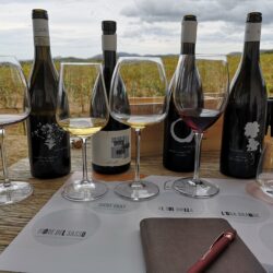 La Contralta, anche in Sardegna un ambizioso progetto di vini macerati