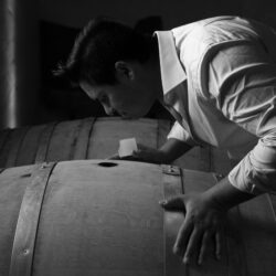 Riccardo Marcuzzi, un giovane vignaiolo crea una nuova realtà nel Collio.