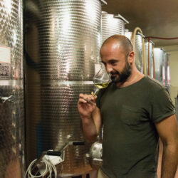 Il Friulano di Orlando, una questione di qualità