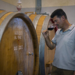 Poderi del Todero, la novità del Pinot Nero